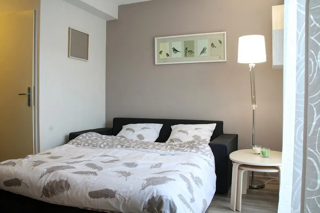 Hôtel Studio Brassens Blagnac-Escale A Toulouse